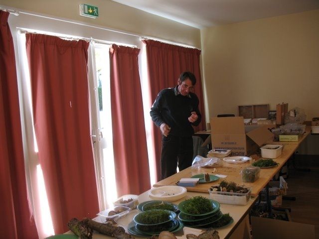 Expo champignons a St Leger 68